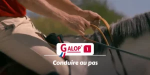 GALOP 1 - Conduire au pas