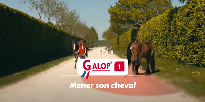 GALOP 1 - Mener son cheval