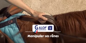 GALOP 2 - Manipuler ses rênes