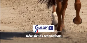 GALOP 2 - Réussir ses transitions
