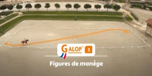 GALOP 3 - Les figures de manège