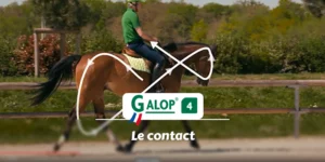 GALOP 4 - Le contact