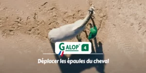 GALOP 4 - Déplacer les épaules du cheval