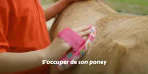 TOUS LE PIED À L'ÉTRIER - S'occuper de son poney