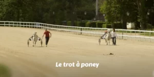 TOUS LE PIED À L'ÉTRIER - Le trot à poney