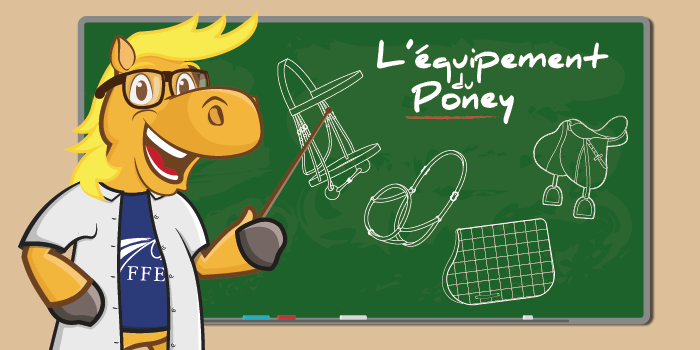 L’équipement du poney