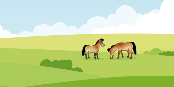 Les chevaux de Mongolie et de Przewalski